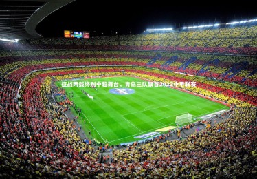 开云体育官网-征战两载终别中超舞台，青岛三队聚首2022中甲联赛